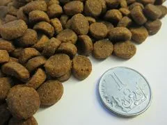 Taste of the Wild High Prairie Puppy hrana za pse, 2 kg