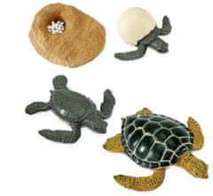 Safari Ltd. Životni ciklus - morska kornjača