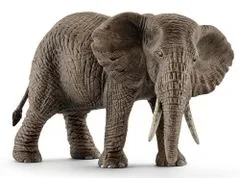 Schleich Afrički slon, ženka 14761
