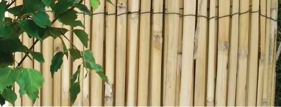 NOHEL GARDEN ograda od bambusa, 1,5x5m