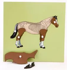 Montessori pomůcky slagalica - konj