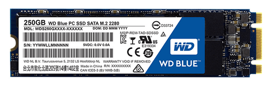 Western Digital SSD disk Blue M.2 2280, 250 GB (WDS250G1B0B)
