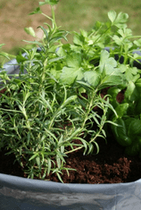 HomeOgarden organsko gnojivo Organsko dognojavanje, 0,75 l