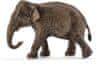 azijski slon, ženka, 13,7 x 6 x 8,5 cm