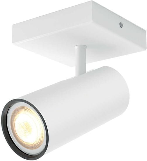 Philips HUE Buratto 50461/31/P8