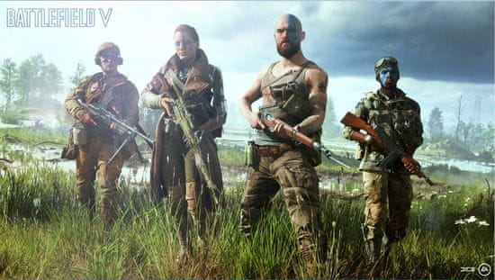 Playstation 4 battlefield 5 sale