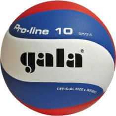 Gala lopta za odbojku PRO-LINE - 10 linija, BV5121SA