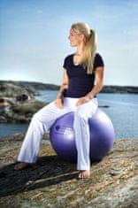 Sissel žoga Securemax Exercise Ball, 65 cm vijolična
