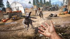 Ubisoft Far Cry 5 (PS4)