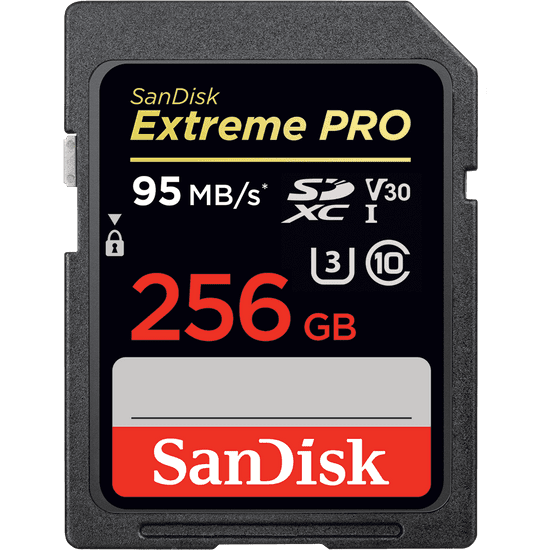 SanDisk memorijska kartica SDXC Extreme PRO, 256 GB, UHS-I (SDSDXXG-256G-GN4IN)