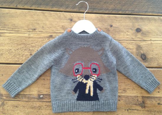 Minoti pulover za dječake s motivom mačke