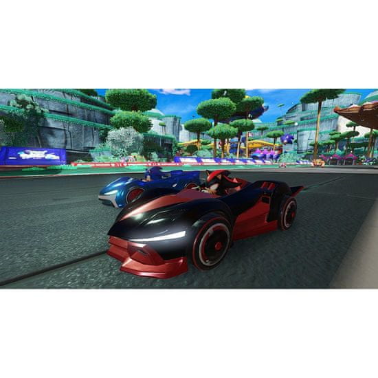 Team sonic store racing switch price