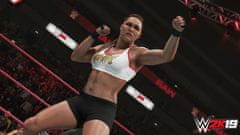 Take 2 videoigra WWE 2K19 - Standard Edition (Xbox One)