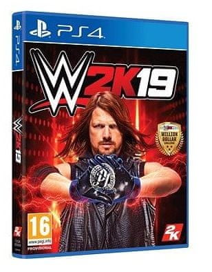 Take 2 videoigra WWE 2K19 - Standard Edition (PS4)
