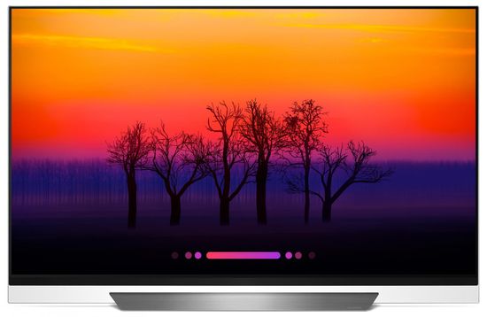 LG TV prijemnik OLED55E8PLA