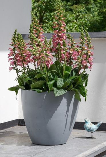 STEWART korito za cvijeće, BETON PLANTER, 40 cm