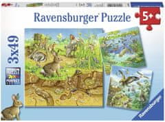 Ravensburger slagalica Životinje u prirodi, 3x49 komada