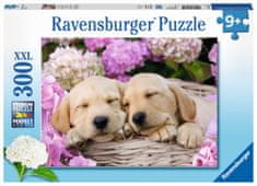 Ravensburger slagalica Psi u košarici, 300 komada