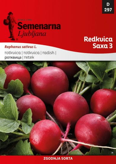 Semenarna Ljubljana rotkvica Saxa 3, 297, mala vrećica