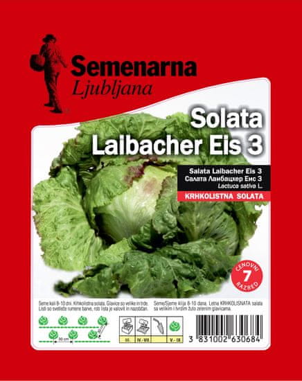 Semenarna Ljubljana salata laibacher Eis 3, 50g