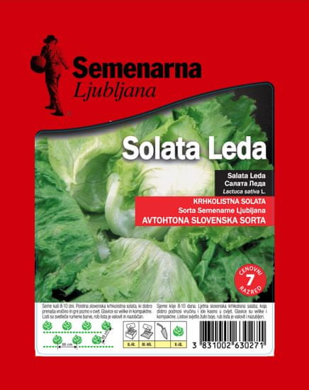 Semenarna Ljubljana salata Leda, 50 g