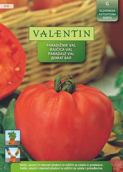 Valentin rajčica Val, 515