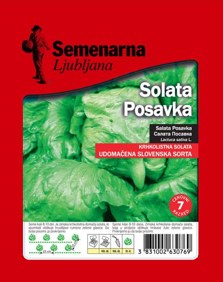 Semenarna Ljubljana salata Posavka, 25 g