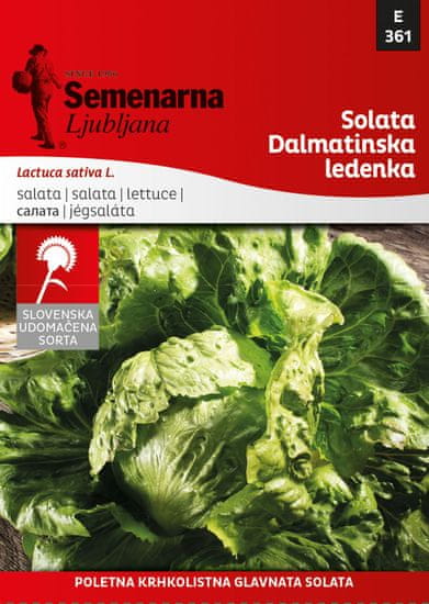 Semenarna Ljubljana salata Dalmatinska ledenka, 361, mala vrećica