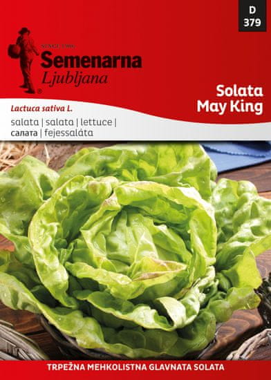 Semenarna Ljubljana salata May King, 379, mala vrećica