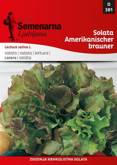 Semenarna Ljubljana salata Amerikanischer brauner 381, mala vrećica