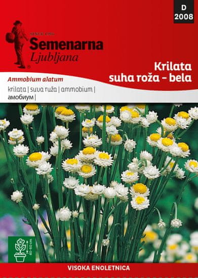 Semenarna Ljubljana krilata suha ruža, bijela D2008