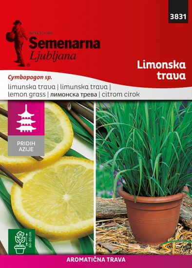 Semenarna Ljubljana limunska trava M.V.Azija 3831 Lemon grass