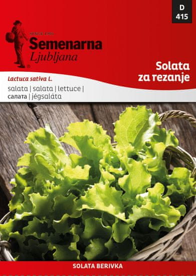 Semenarna Ljubljana salata Berivka, 415, mala vrećica