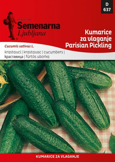 Semenarna Ljubljana krastavci za kiseljenje Parisian Pickling, 637, mala vrećica