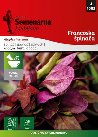 Semenarna Ljubljana francuski špinat M.V.Herbs 1083