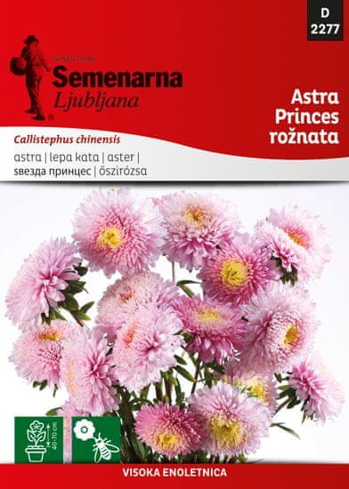 Semenarna Ljubljana cvijeće astra princes roza D2277, mala vrećica