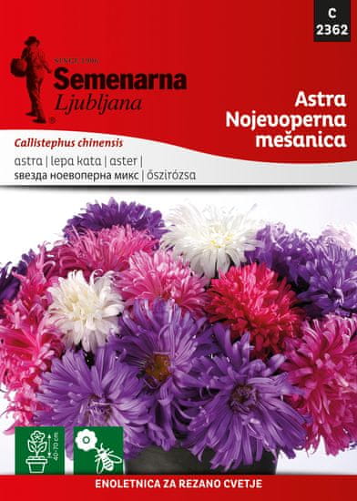 Semenarna Ljubljana cvijeće astra nojevoperna-mešanica C2326, mala vrećica