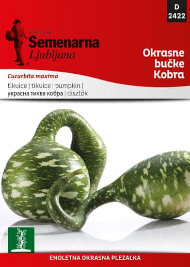Semenarna Ljubljana ukrasna tikvica Kobra D2422, mala vrečica