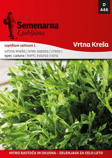 Semenarna Ljubljana kres salata, glatkolisna, 446, mala vrećica