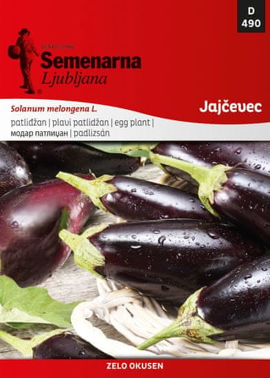 Semenarna Ljubljana patlidžan Black Beauty, 490, malo pakiranje