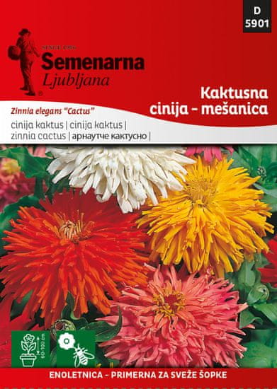 Semenarna Ljubljana cinija kaktus - mješavina 5901, mala vrečica