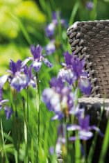 Allibert 2-dijelni komplet stolica Corfu Duo, s jastucima, smeđa