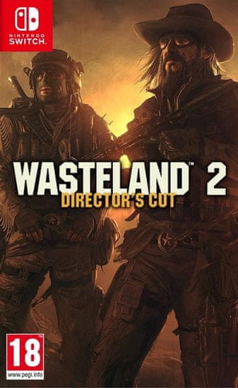 inXile Entertainment igra Wasteland 2: Director's Cut (Switch)
