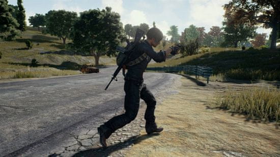 Sony PlayerUnknown s Battlegrounds PS4 MALL.HR