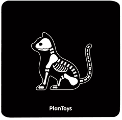 Plan Toys Veterinarski set