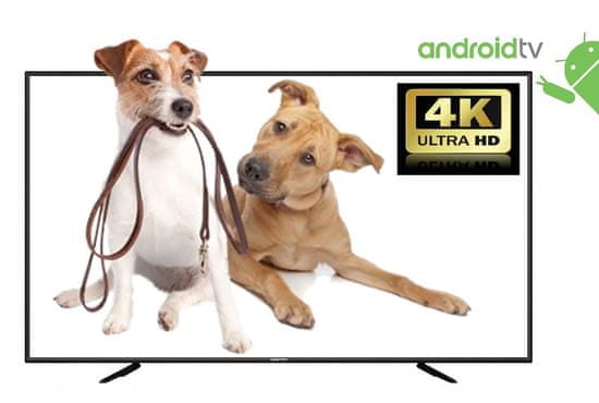 Manta 4K LED TV prijemnik 55LUA58L Android