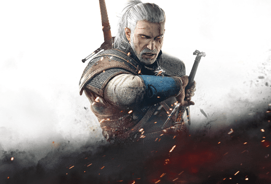 The witcher store switch price