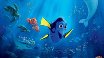 Artikli s motivom ribice Dory - Finding Dory