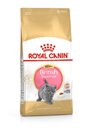Royal Canin British Shorthair Kitten hrana za britanske kratkodlake mačiće, 10 kg