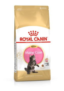 Royal Canin Maine Coon Kitten hrana za mačiće Main Coon, 10 kg